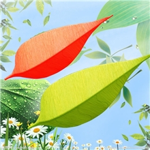 厂价直销现代简约树叶灯海洋布艺吸顶灯过道卧室灯咖啡厅用灯