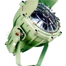 供应优质工厂车间圆形方形防爆投光灯