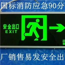 厂家批发LED新国标安全出口指示灯自发光安全出口方向标志灯
