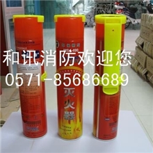 方便实用强化水车用家用灭火器汽车灭火器消防器材