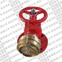 船用消防栓，中岛式，中德式