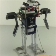 厂家直销科教教育益智机器人DIY模型企鹅机器人教学机器人