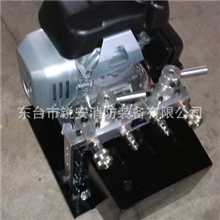 供应本田发动机超高压液压机动泵（双输出）