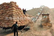 昊乾大量供应作饲料玉米芯颗粒