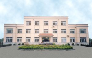 工程用快硬快干水泥(R.SAC）