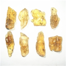 天然柯巴树脂含蚂蚁蚊子未知名虫等单个15元学习鉴赏收藏把玩