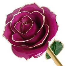 EBJ-135精致千足镀金玫瑰天然玫瑰与24K黄金组合仿真玫瑰批发