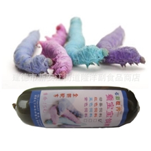 蚕宝宝，彩色蚕宝宝，彩色蚕宝宝饲料，新奇特宠物，紫色蚕饲料