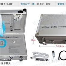 正版量子检测仪，英文量子弱磁场共振分析仪，量子健康检测工厂销