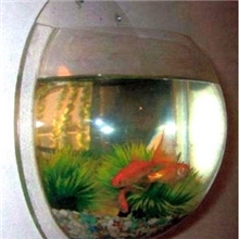 厂家定制亚克力有机玻璃鱼缸