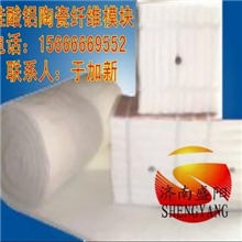 隧道窑最好的保温材料陶瓷纤维模块