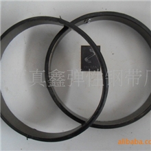 滤袋涨圈胶圈涨圈钢圈