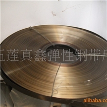 除尘布袋专用钢带