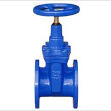 供应阀门闸阀门【德标球铁弹性座封闸阀（RVHXZ45X-16Q）】