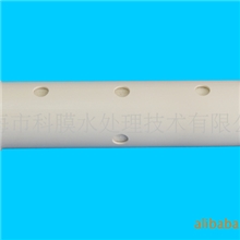 科膜牌￠90&times;420mm，水通量1000L/H