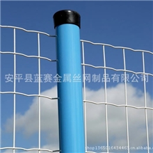 电焊网，荷兰网，浸塑电焊网，浸塑荷兰网