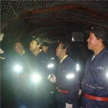 煤矿经纬网、防护网屯煤、矿井阻燃网