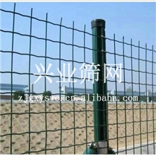 厂家直销荷兰网燕尾柱荷兰网机械专用