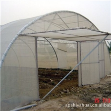 80目乙烯网批发安平乙烯防虫网厂家批发直销