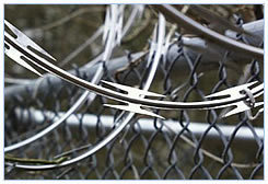 供应苏州刀片刺绳(刺丝)