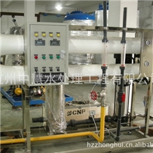 4T/h反渗透纯水设备