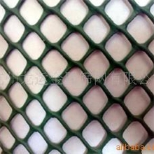 供应六角塑料网、塑料筛网