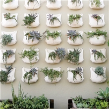 亿泽隆专供种植袋35*30cm单口壁挂室内种植袋育苗袋植物墙工程