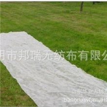 专业供应农业无纺布无纺布质优价廉可批发定做
