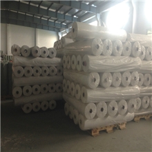 供应优质丙纶布纺粘布9克/平方米10g11g厂家直销质量保证