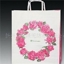 江苏奥特隆供应无纺布购物袋礼品袋【量大从优】