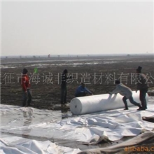 供应土工布15895758802