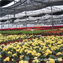 出厂直销专业生产大棚布