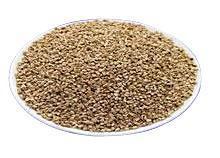 优质果壳滤料厂家直销价格低质量好