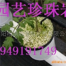 供应信阳园艺膨胀珍珠岩、大颗粒珍珠岩粉首选港虹、质优价廉