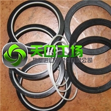 意大利液路坚TSE油封