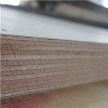 加大尺寸车厢板、WBP防水胶、4米加长、20加厚杨木，桉木芯材