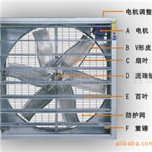 生产厂家直销批发各型号&lsquo;沃禾牌&rsquo;负压风机//供应钦州市负压风机