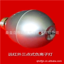 供应负离子灯\养生负离子灯、汗蒸负离子灯(图)