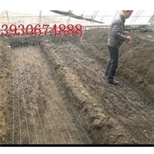 农用大棚育苗线