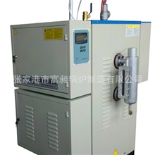 200Kg/h立式电加热蒸汽锅炉