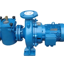 滨特尔pentair游泳设备YC系列水泵