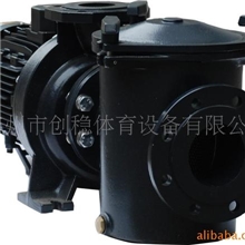 供应泳池大功率水泵