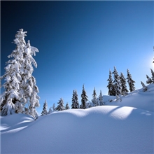 让冬天不再寒冷天天有热水五星空气能低温热泵热水机组工程安装