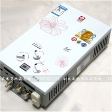 批发樱花家用8升烟道式燃气热水器冬夏型煤气液化天然正品纯铜