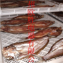 白鱼冷风干燥机|白鱼低温烘干机|白鱼低温干燥机