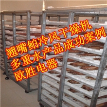 翘嘴鲌冷风干燥机|翘嘴鲌低温烘干机|翘嘴鲌冷风风干设备
