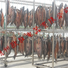 青鱼干冷风干燥机|青鱼低温干燥机|青鱼冷风烘干机