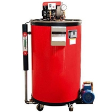 供应张家港方快LHSWNS供应30-200KG燃气/燃油