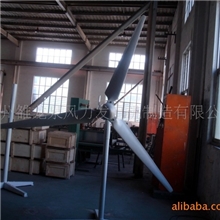 500w实用性高效风力发电机沿海养殖家用渔船(图)