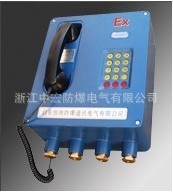 壁挂式防爆电话站，挂式防爆对讲站，防爆调度总站